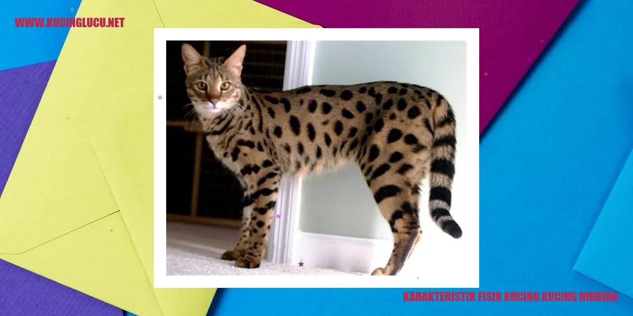 Karakteristik Fisik Kucing Hibrida