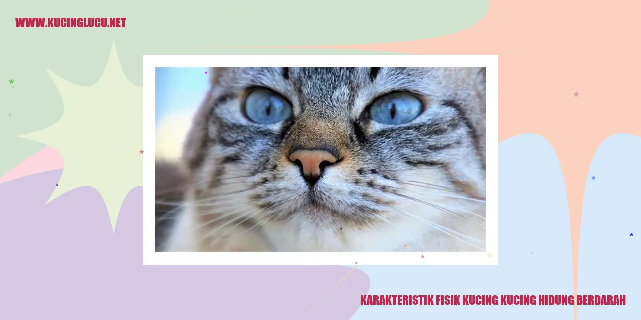 Karakteristik Fisik Kucing Bermulut Berdarah