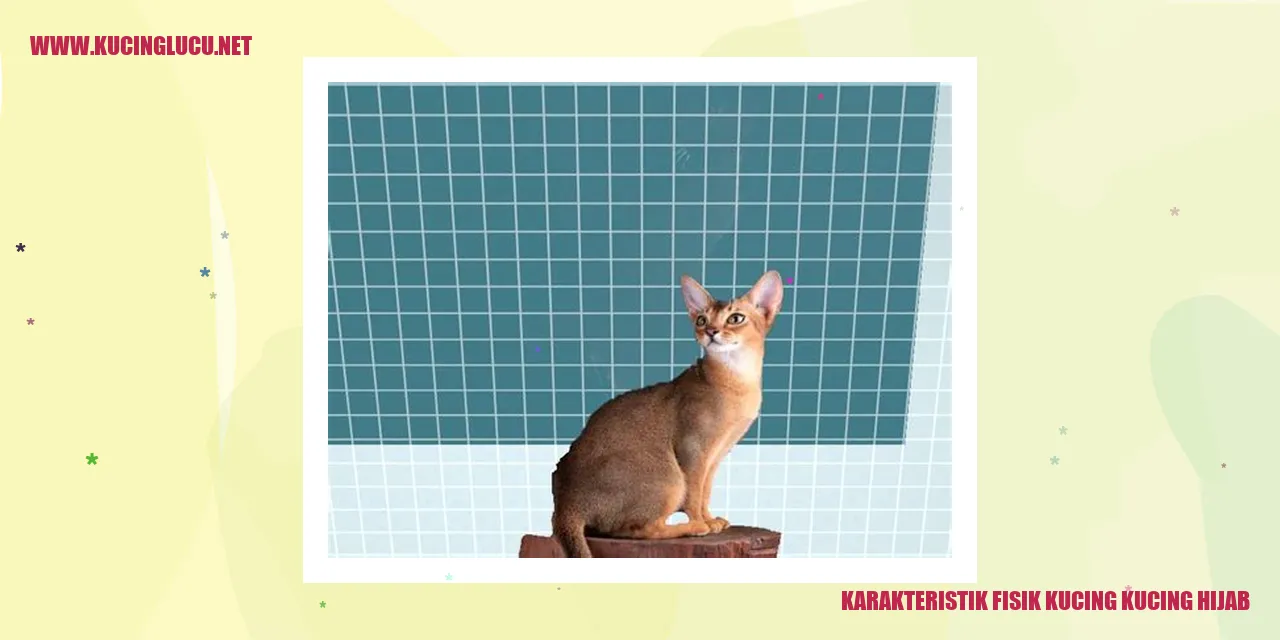 Karakteristik Fisik Kucing Kucing Hijab