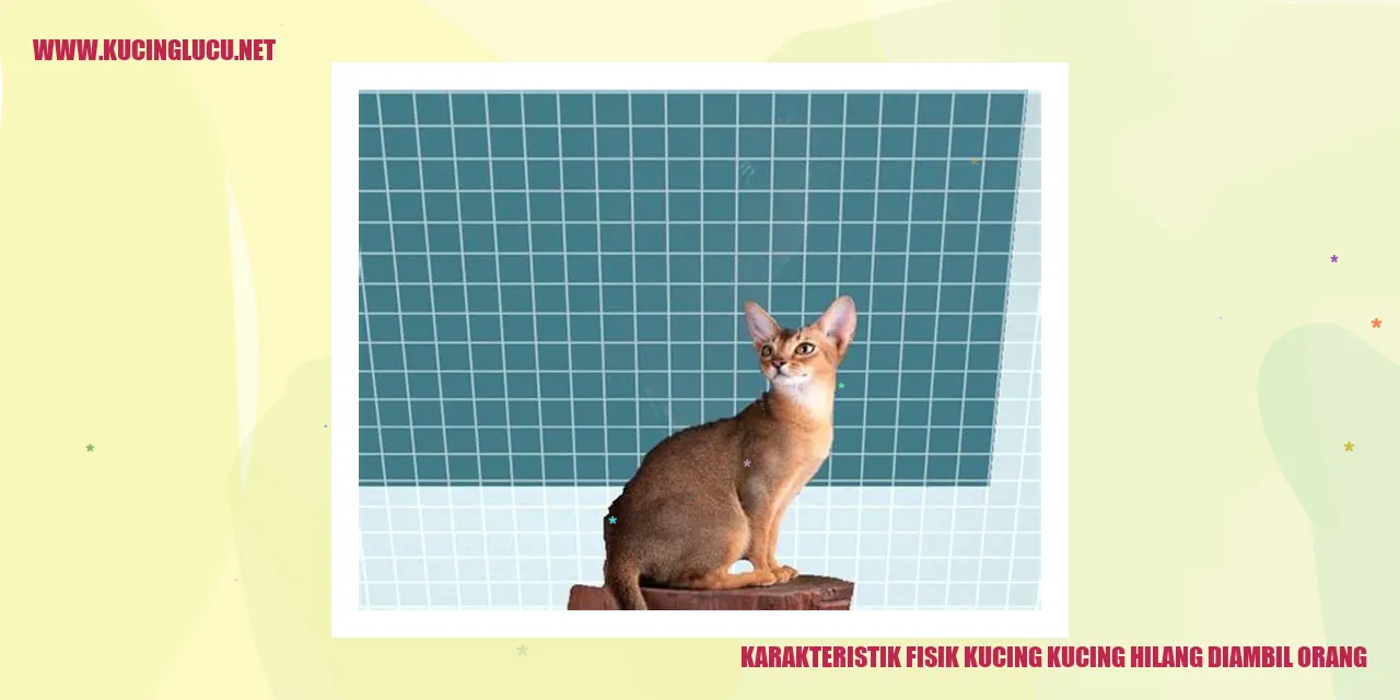 Karakteristik Fisik Kucing