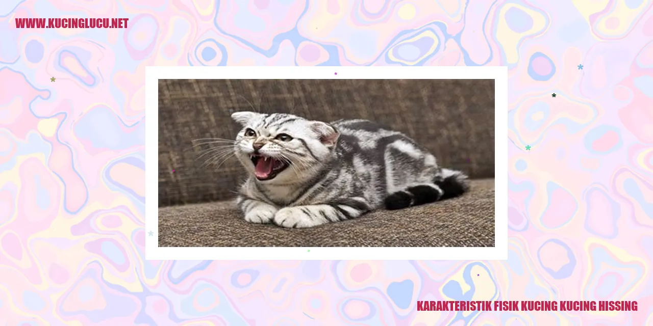 gambar kucing menggeram