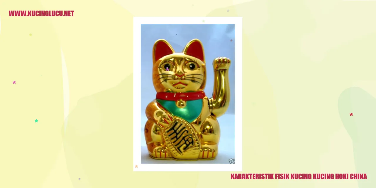 Karakteristik Fisik Kucing Hoki China