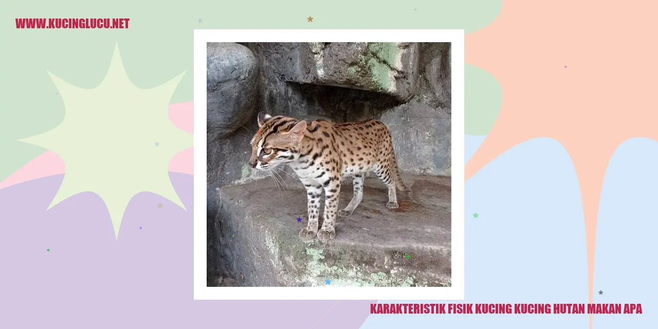 Gambar Kucing Hutan