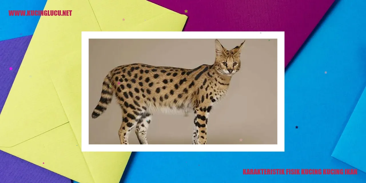 Gambar Kucing Ikan