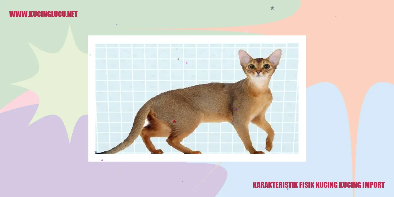 Karakteristik Fisik Kucing kucing import
