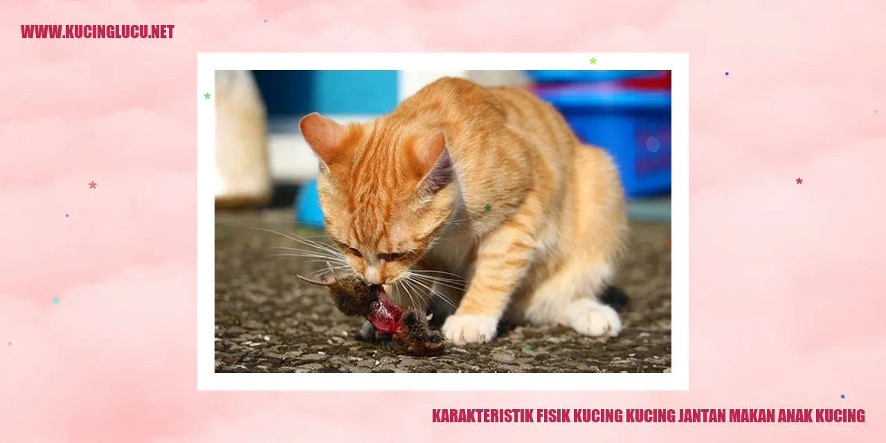 Karakteristik Fisik Kucing kucing jantan makan anak kucing