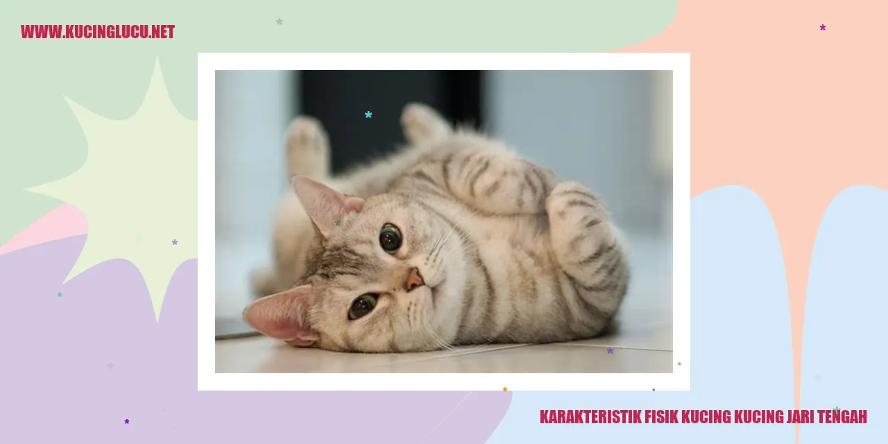 Kucing jari tengah