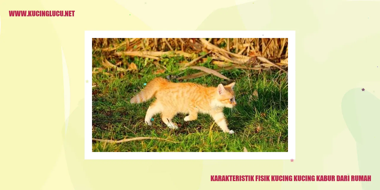 Karakteristik Fisik Kucing
