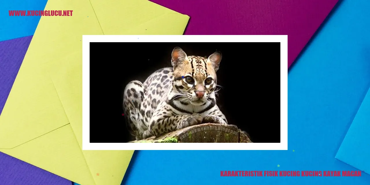 Kucing dengan Penampilan seperti Macan
