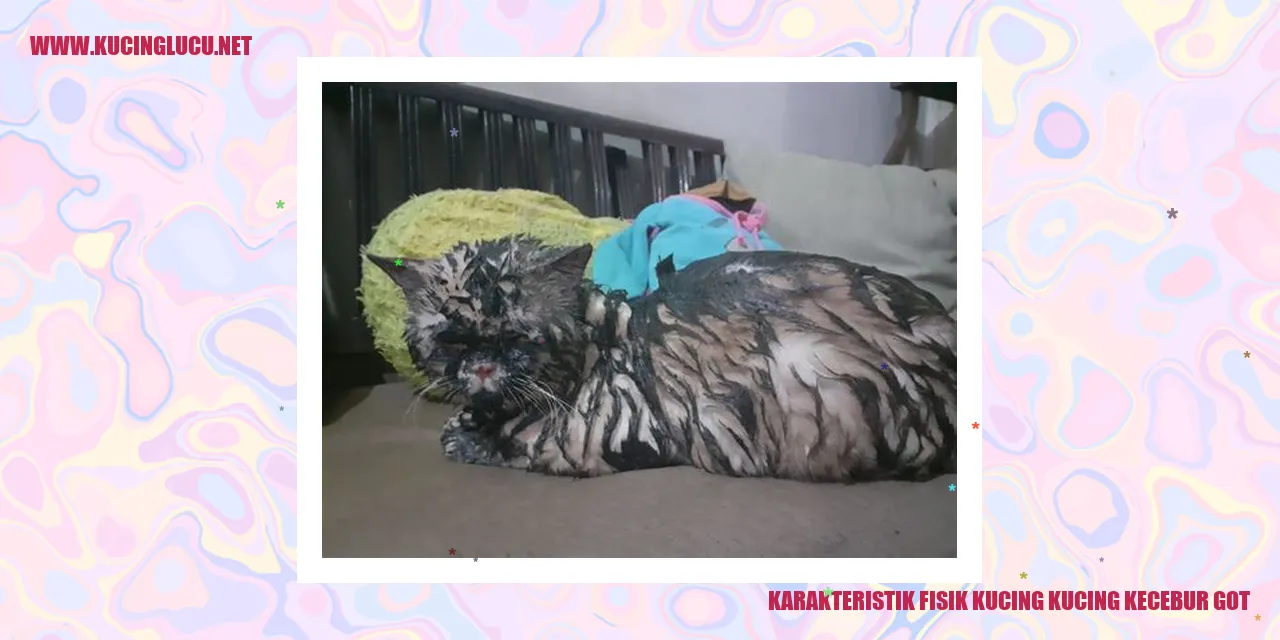 Karakteristik Fisik Kucing kucing kecebur got