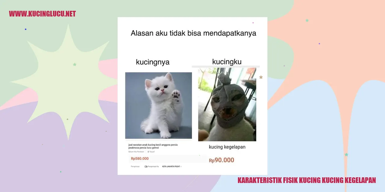 Karakteristik Fisik Kucing Kucing Kegelapan