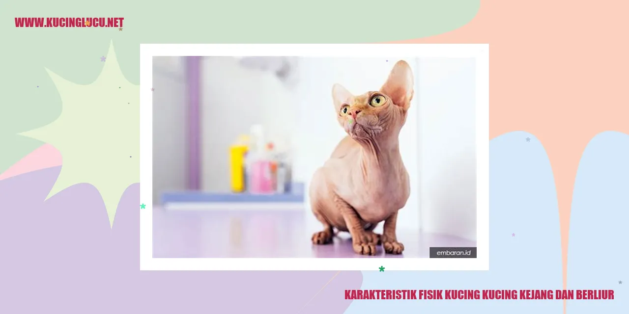Gambar kucing mengalami kejang dan berliur
