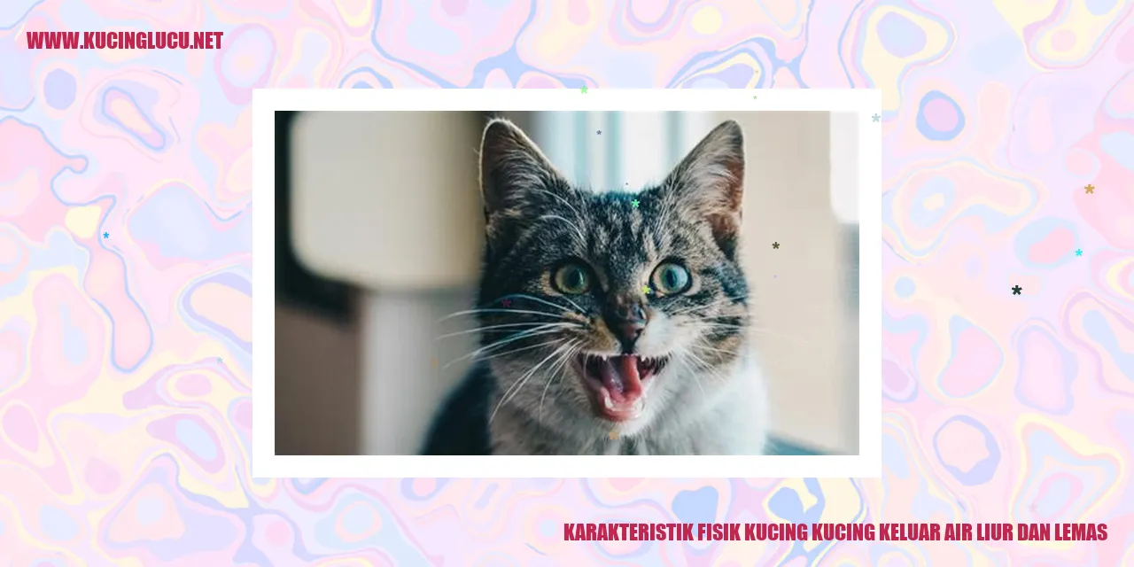 Karakteristik Fisik Kucing