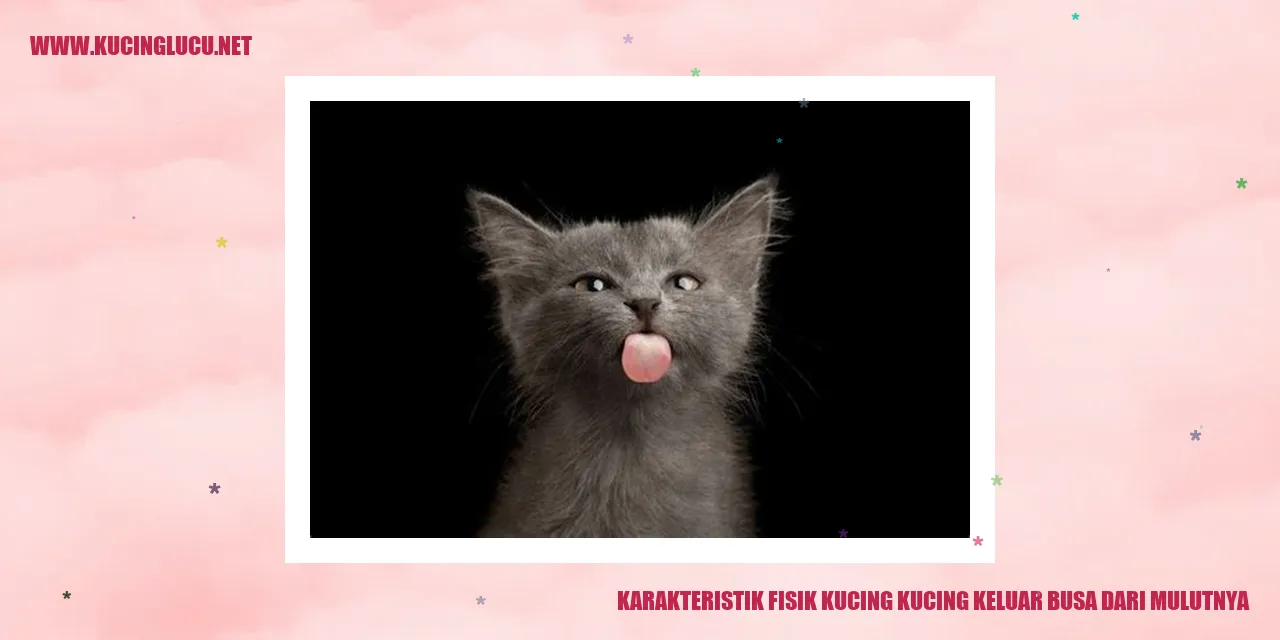 Karakteristik Fisik Kucing