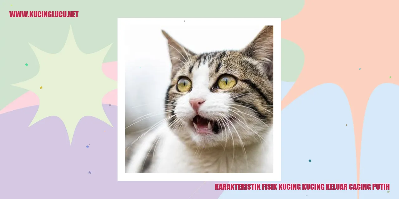 Karakteristik Fisik Kucing