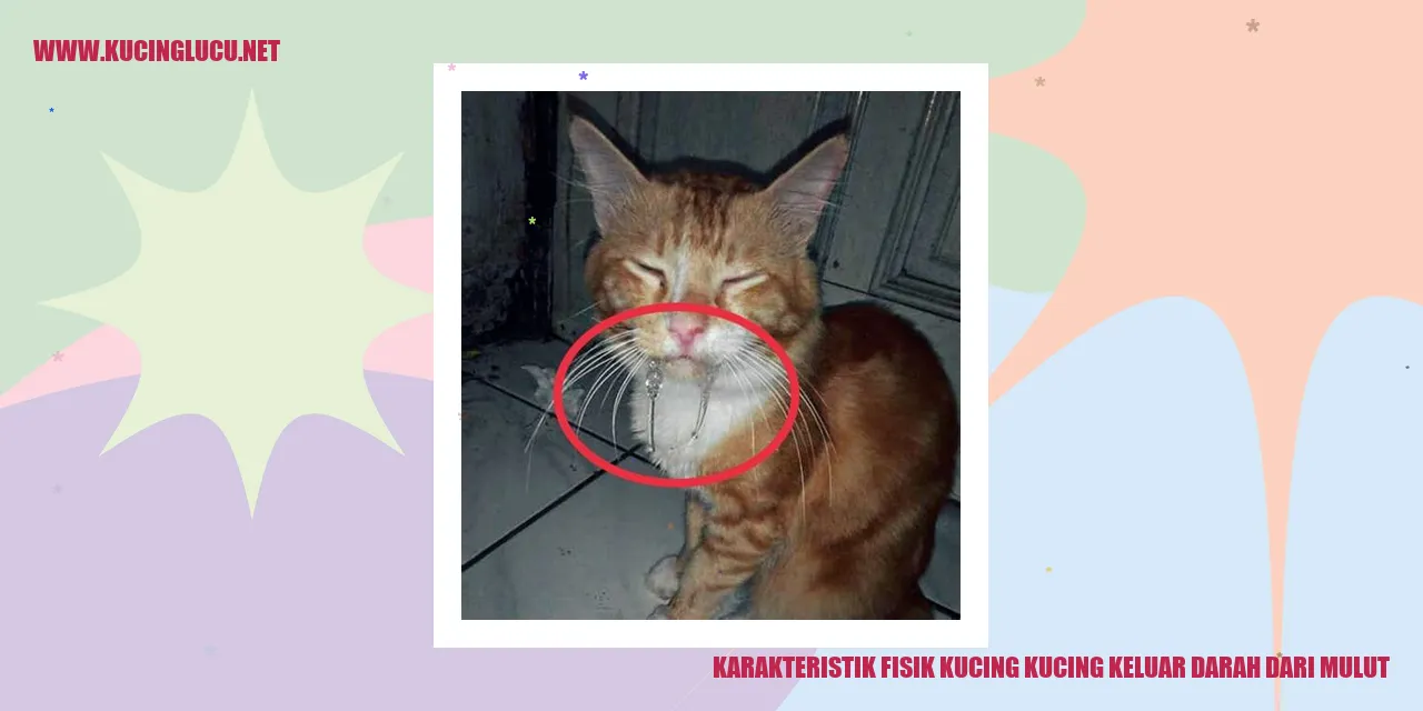 Gambar Kucing dengan Pendarahan Mulut