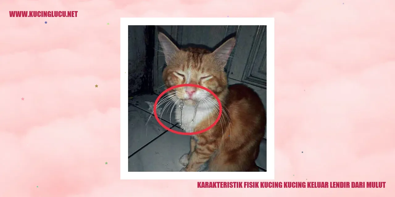 Karakteristik Fisik Kucing