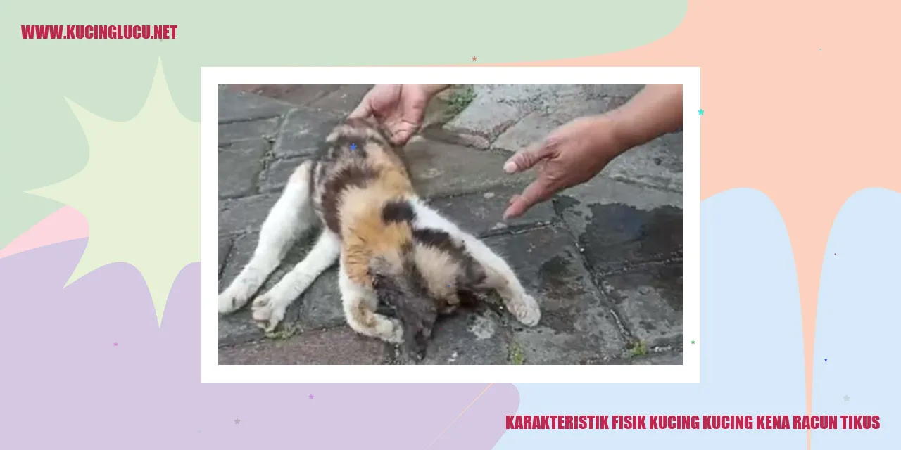 Karakteristik Fisik Kucing