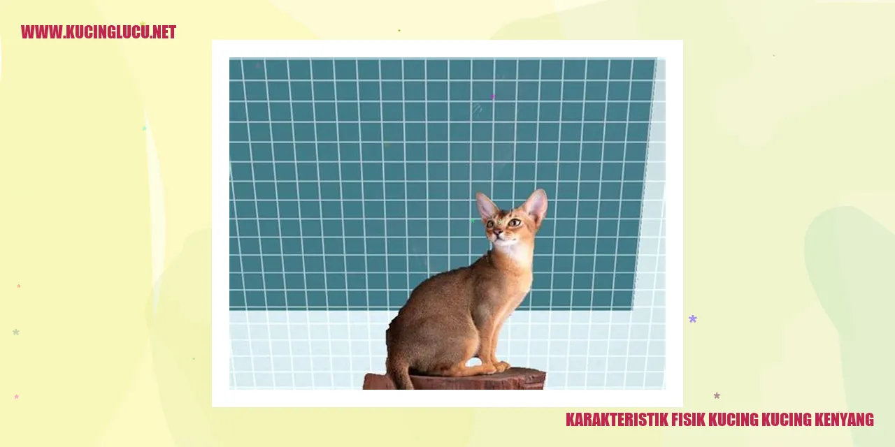 Karakteristik Fisik Kucing