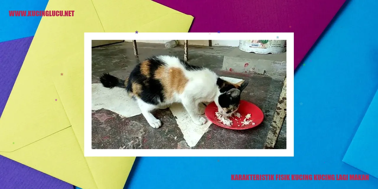 Karakteristik Fisik Kucing Saat Sedang Makan