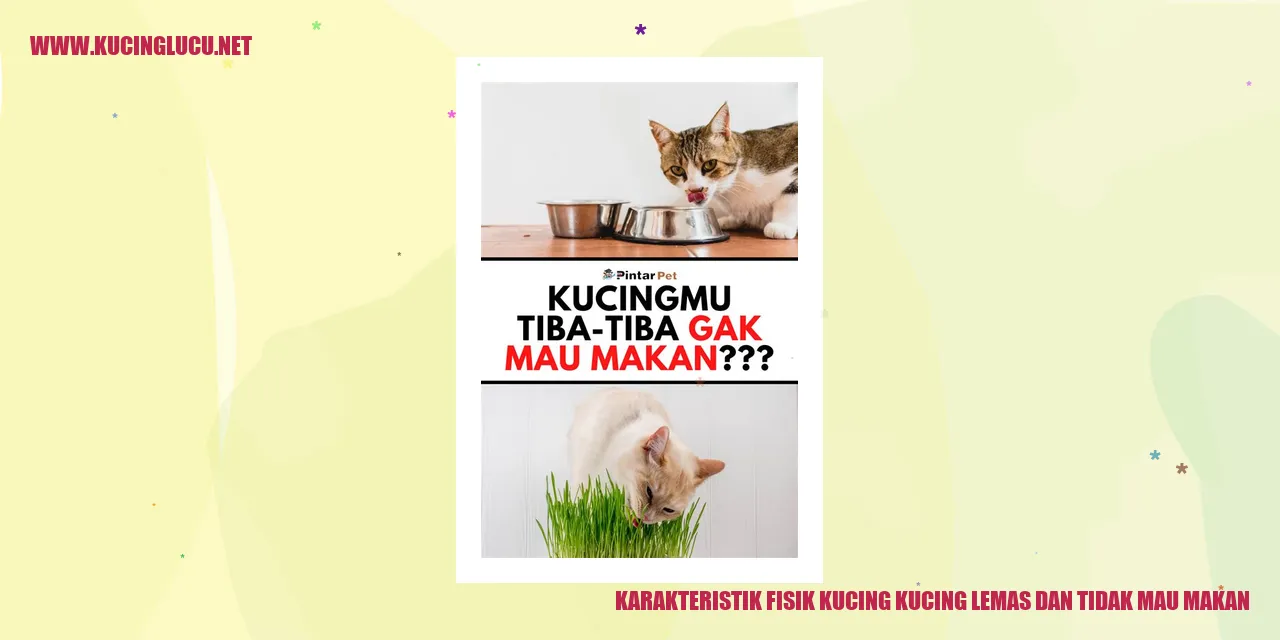 Karakteristik Fisik Kucing kucing lemas dan tidak mau makan