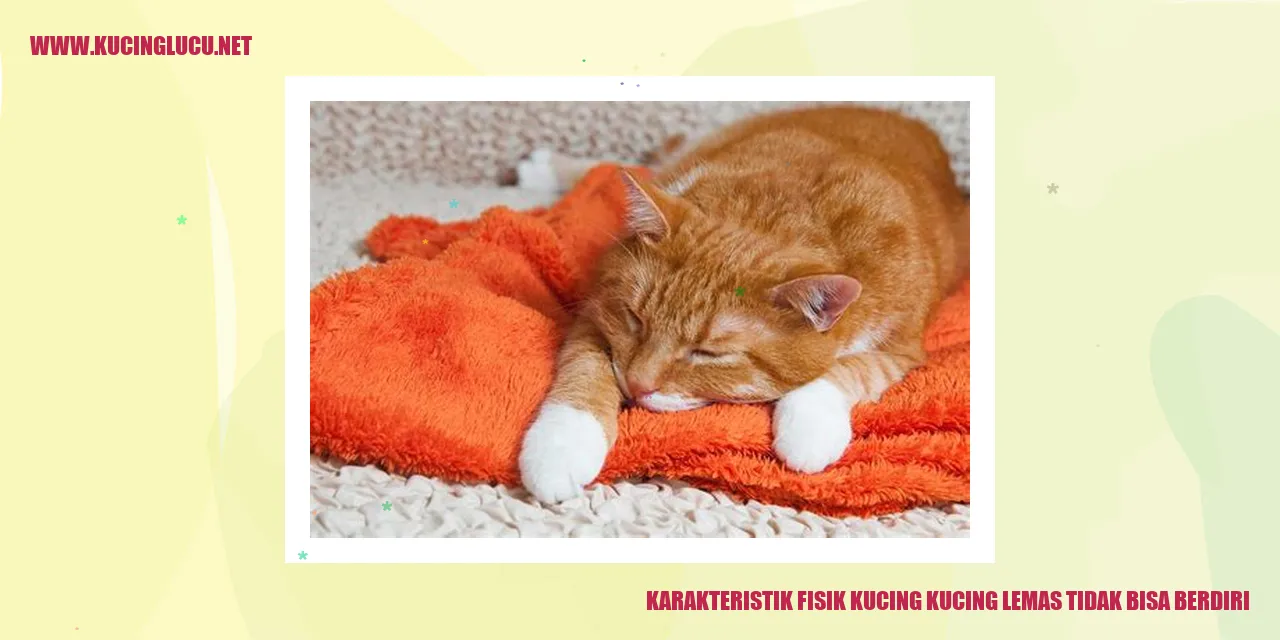 gambar kucing yang lemas