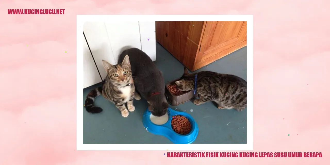 Karakteristik Fisik Kucing