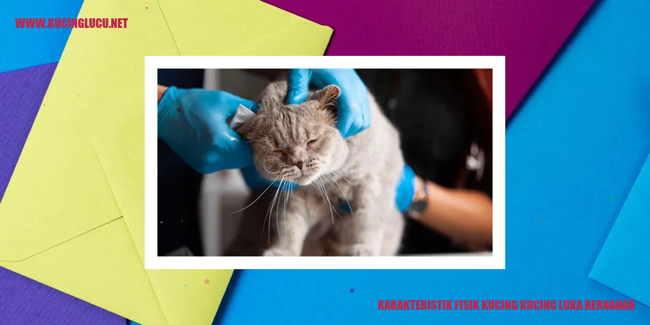Karakteristik Fisik Kucing
