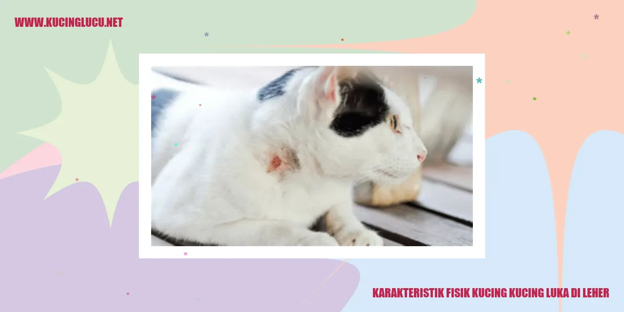 Karakteristik Fisik Kucing kucing luka di leher