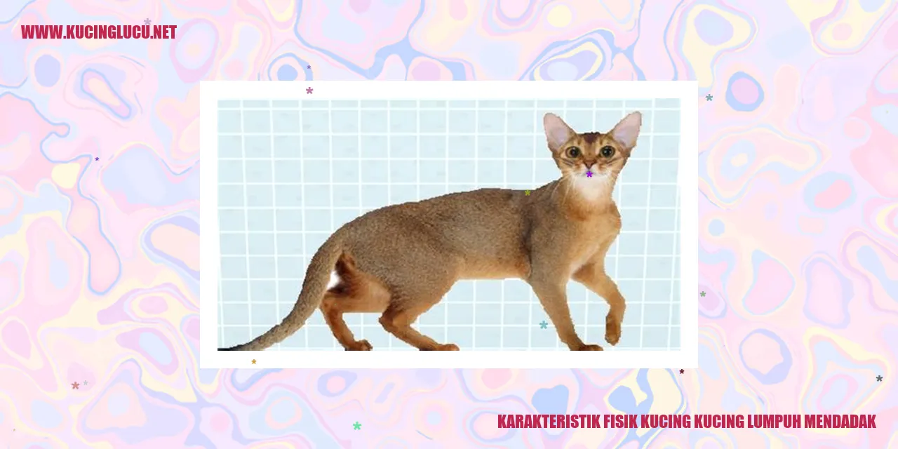 Kucing Yang Lumpuh Mendadak