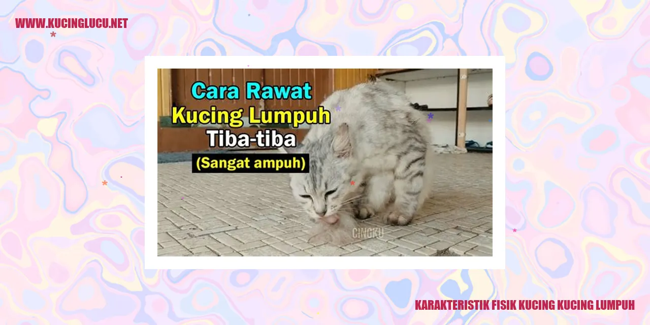 Kucing lumpuh