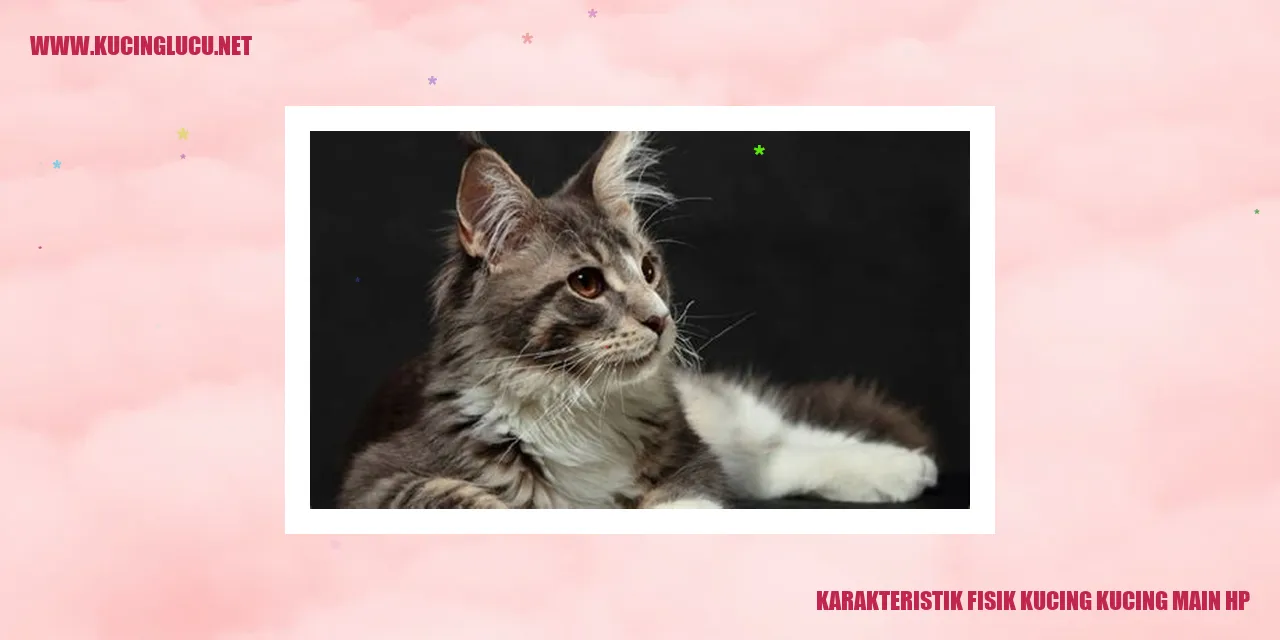 Gambar kucing yang menggemaskan