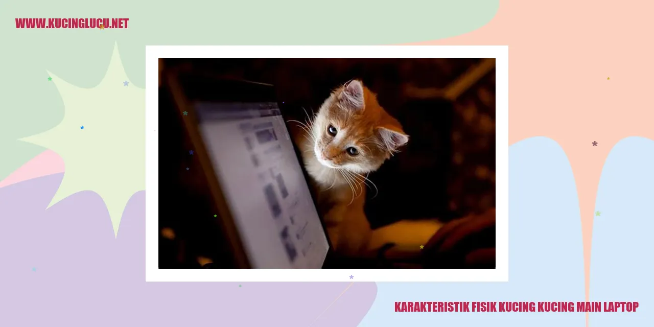 Gambar Kucing Main Laptop