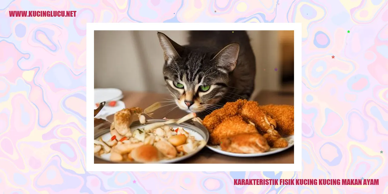 Karakteristik Fisik Kucing yang Gemar Makan Ayam