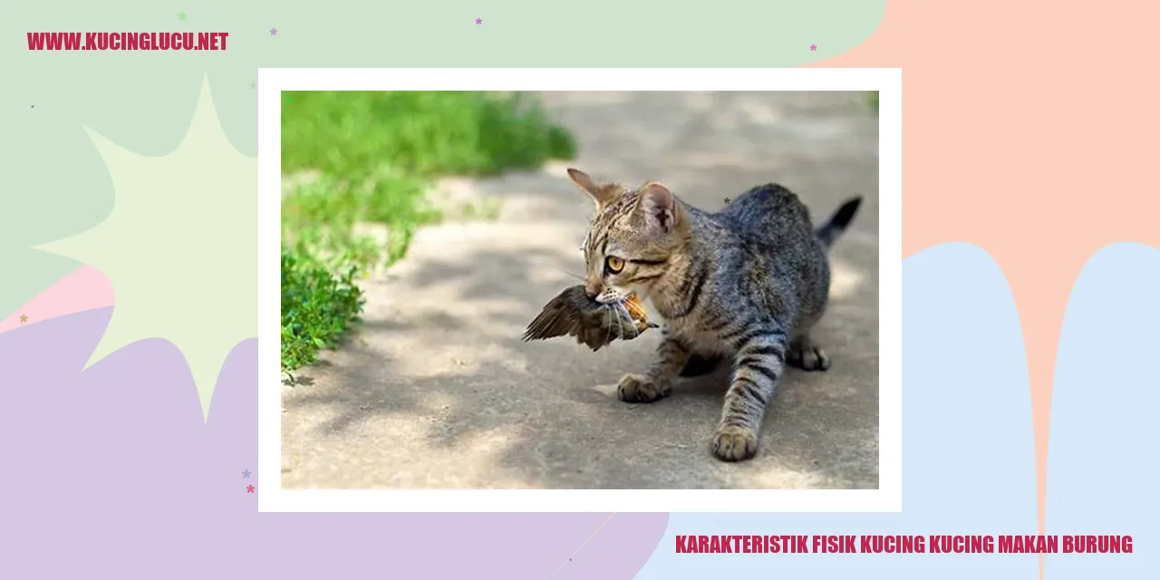 Kucing sedang melompat untuk menangkap burung
