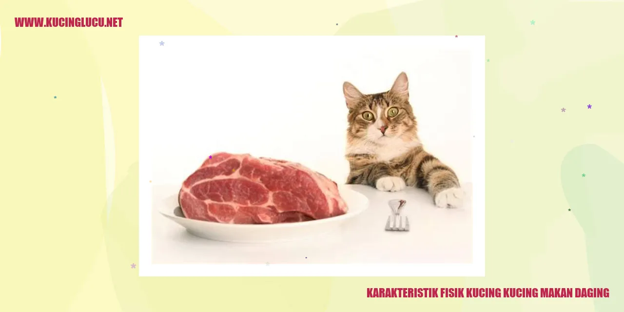 Kucing Pemakan Daging