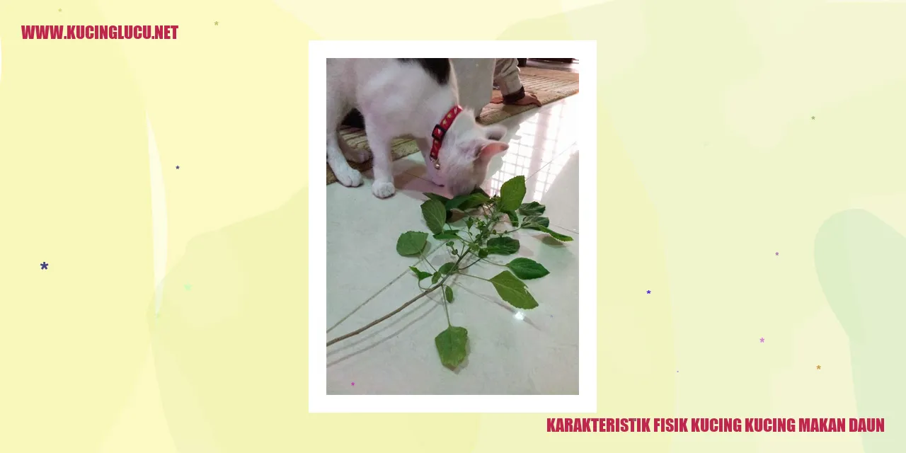 Kucing Makan Daun