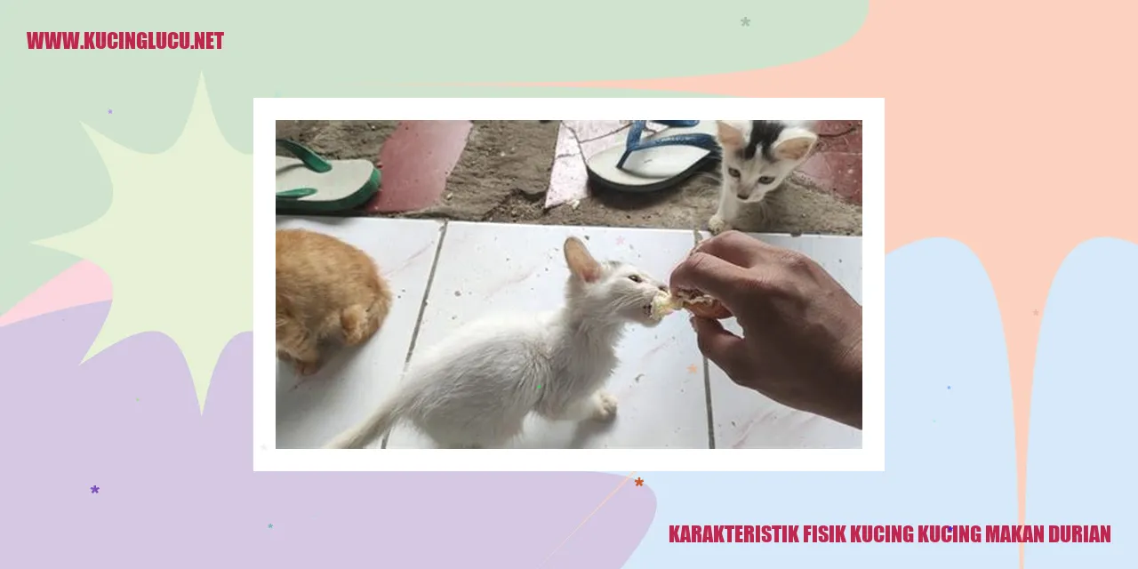Kucing Makan Durian