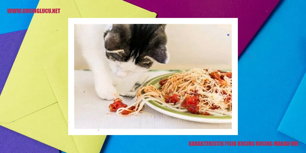 Kucing Menyantap Mie