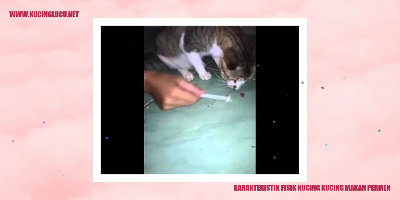 Kucing yang Gemar Memakan Permen