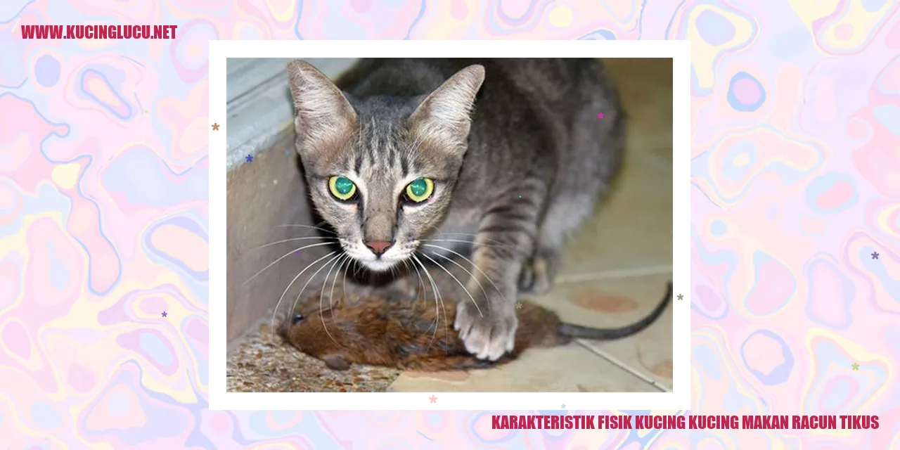 Gambar kucing memakan racun tikus