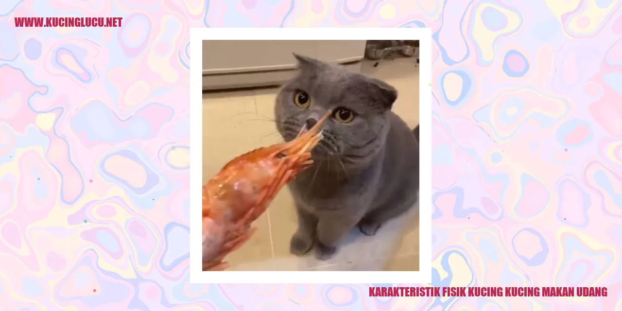 Karakteristik Fisik Kucing yang Menikmati Hidangan Udang