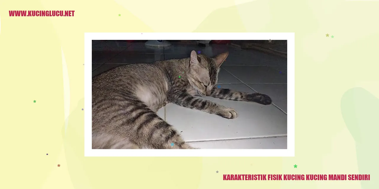 Kucing yang Mandi Sendiri