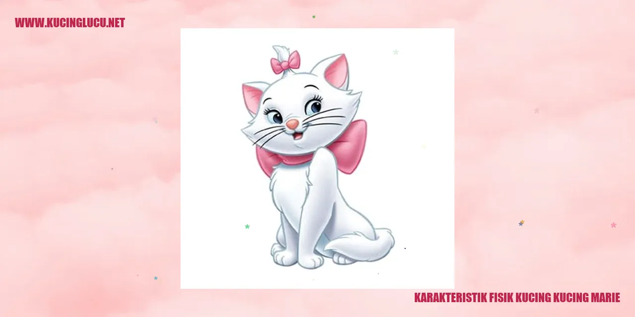 Gambar Kucing Marie