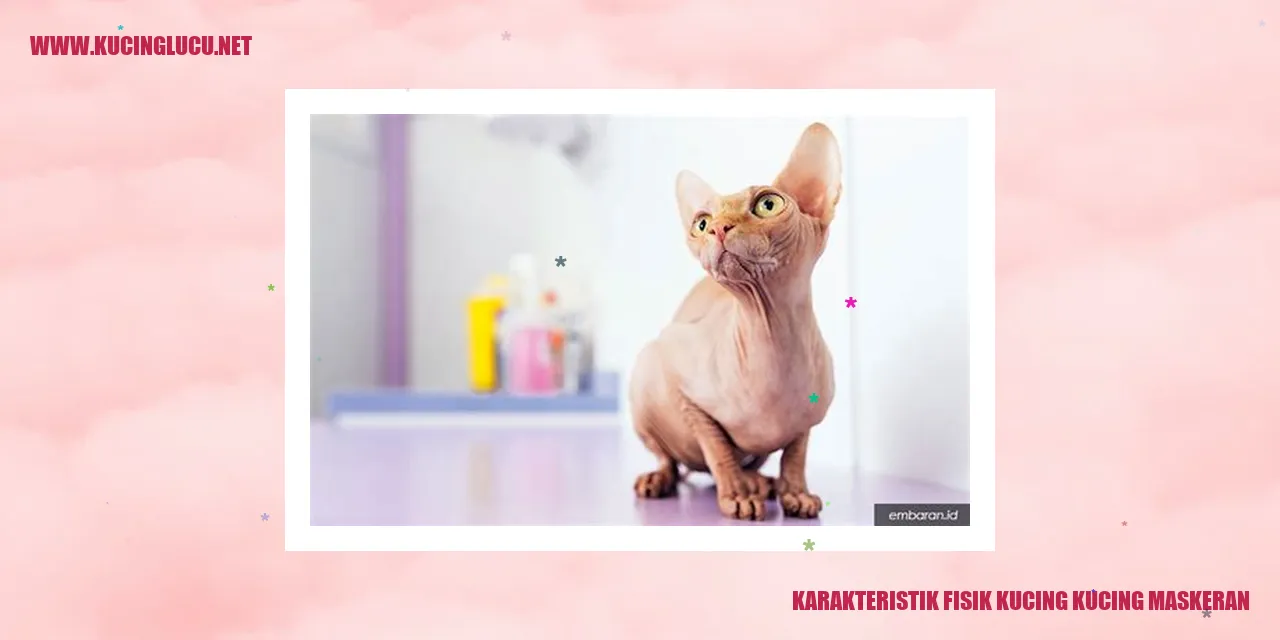 Kucing Maskeran