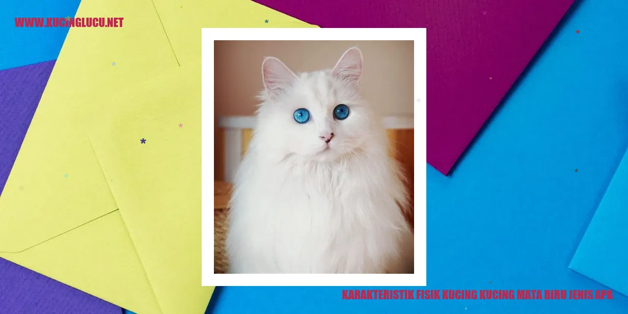 Kucing dengan Mata Biru