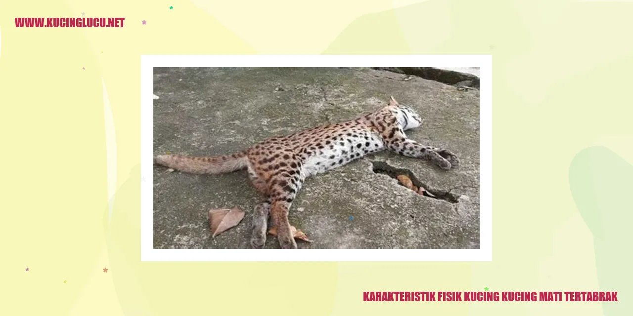 Gambaran Kucing Mati Tertabrak