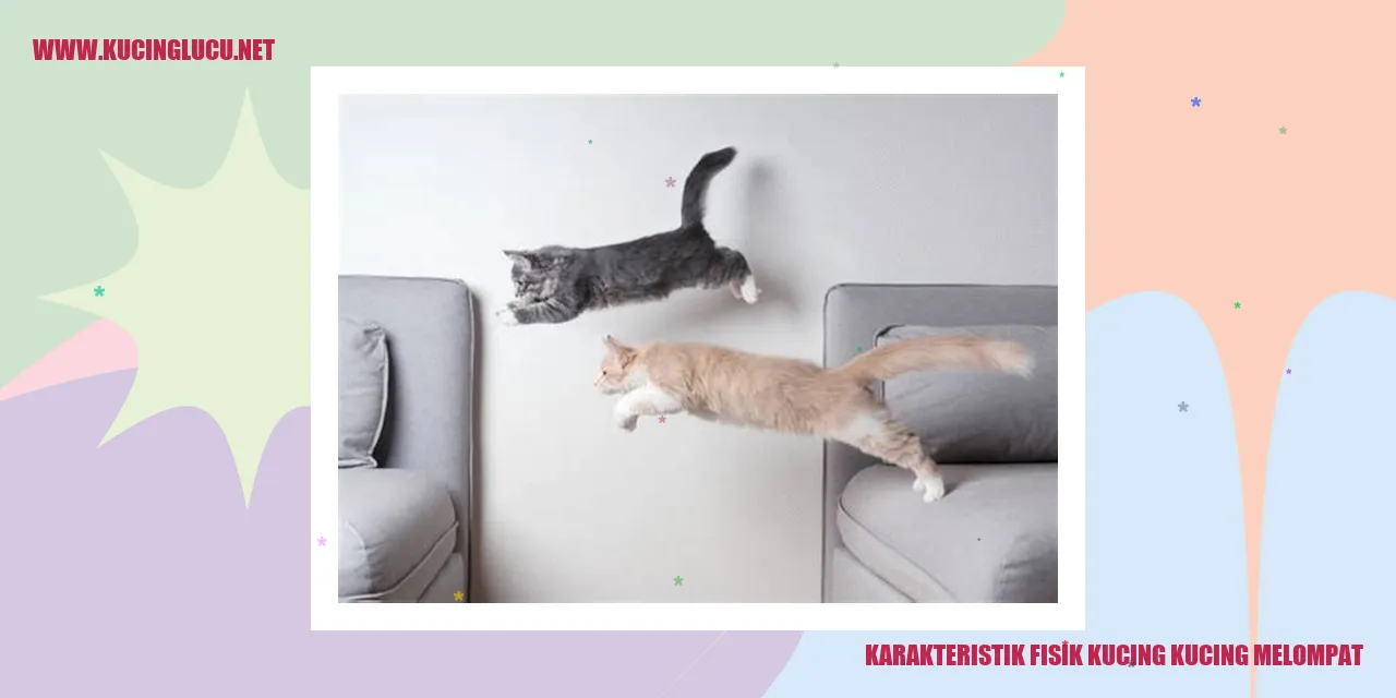Gambar kucing melompat