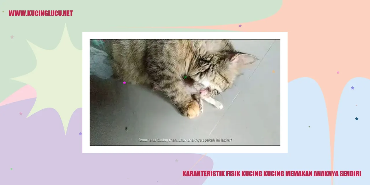 Kucing sedang berbaring