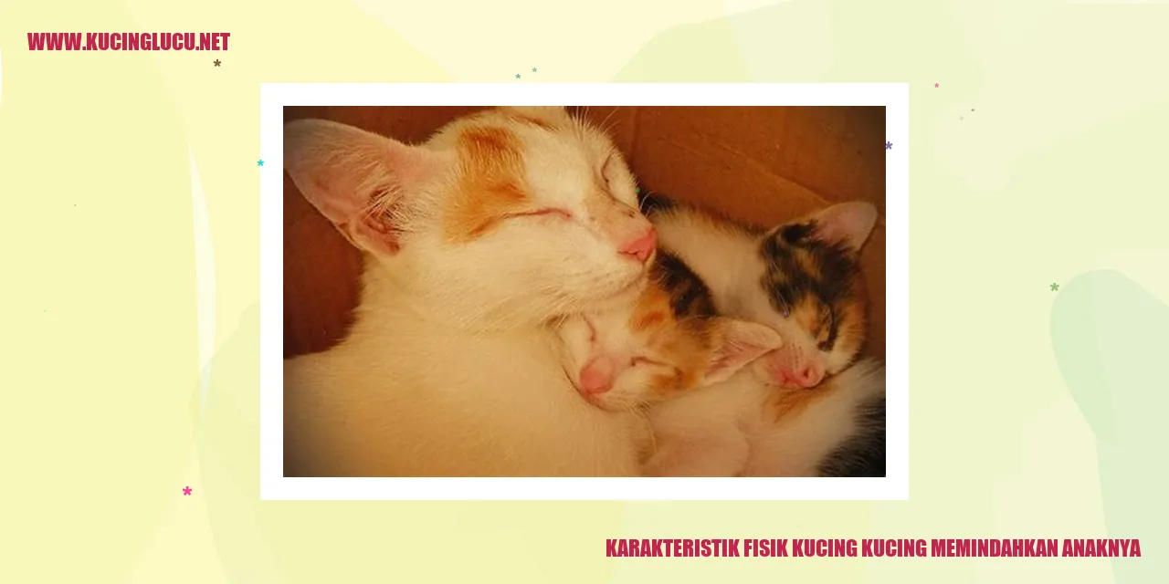 Karakteristik Fisik Kucing kucing memindahkan anaknya